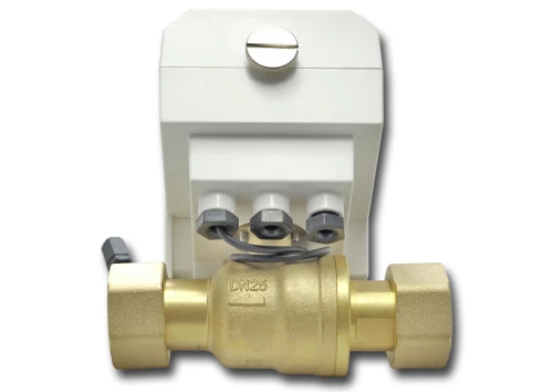 RXP2976286 : Bezprzewodowy zawór antyzalaniowy 1 cal RXP2976286 : Bezprzewodowy zawór antyzalaniowy 1 cal