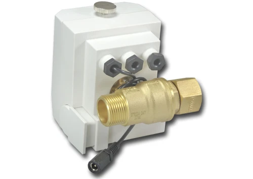 RXP2976294 : Bezprzewodowy zawór antyzalaniowy 3/4 cala