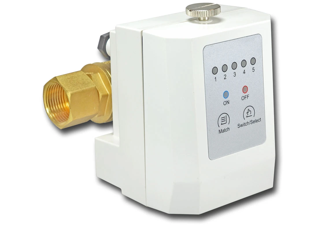 RXP2976294 : Bezprzewodowy zawór antyzalaniowy 3/4 cala