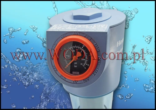 F74CS-1AA : Honeywell filtr z przepłukiwaniem (do 3,8 m3/h) - gwint 1 cal