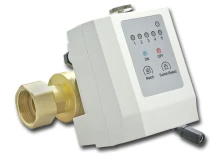 RXP2976286 : Bezprzewodowy zawór antyzalaniowy 1 cal