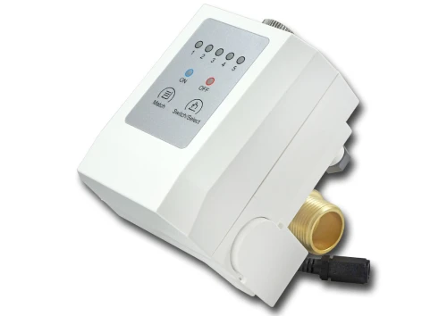 RXP2976294 : Bezprzewodowy zawór antyzalaniowy 3/4 cala